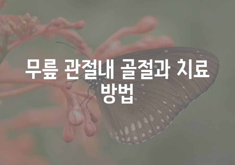 샘플 (51)