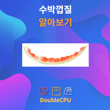 수박껍질 알아보기