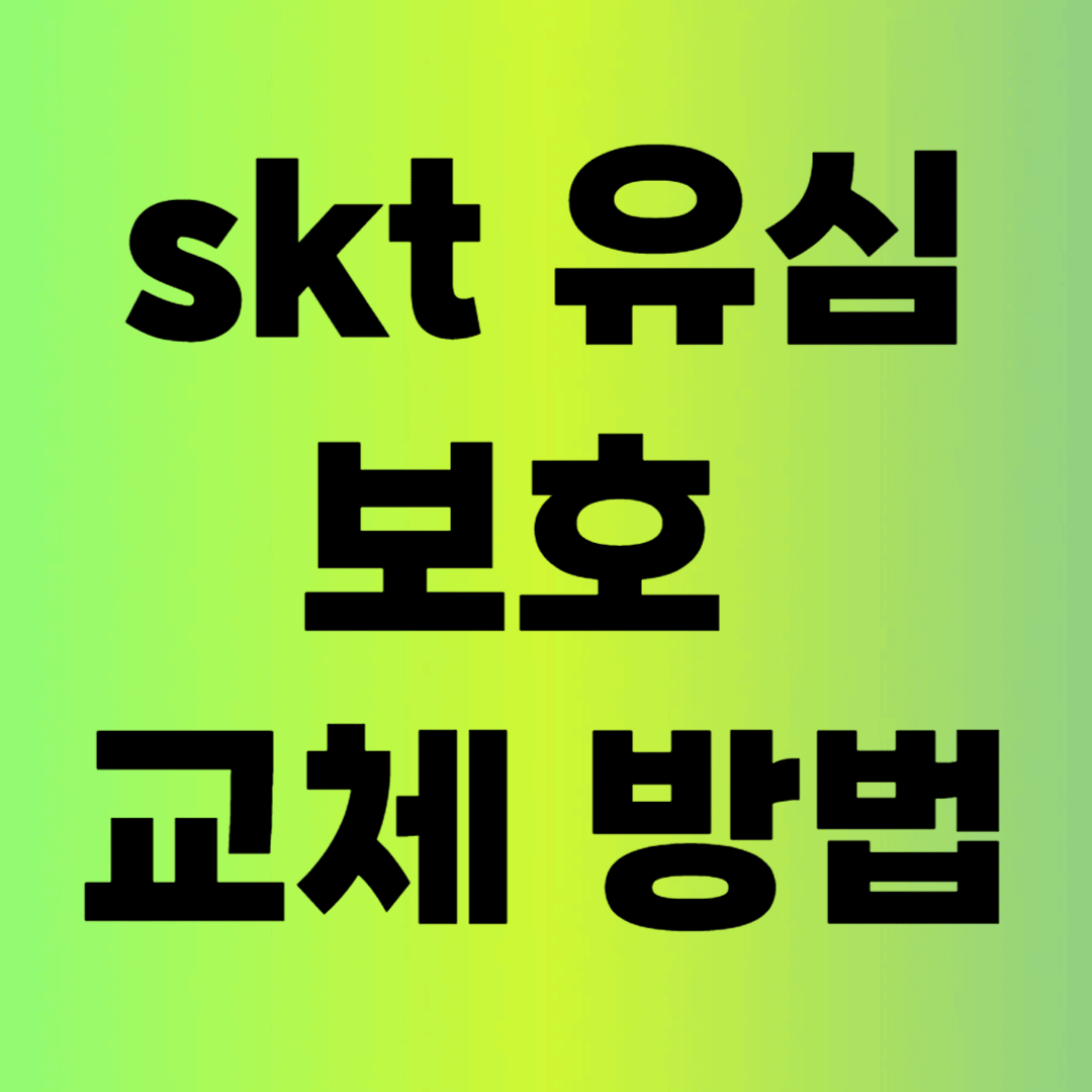 SKT 유심 보호 교체 방법