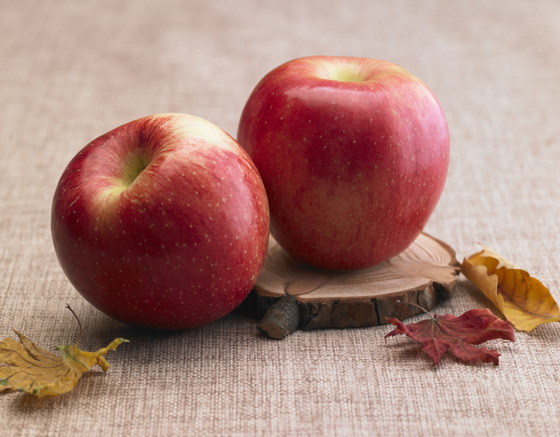 가을 사과