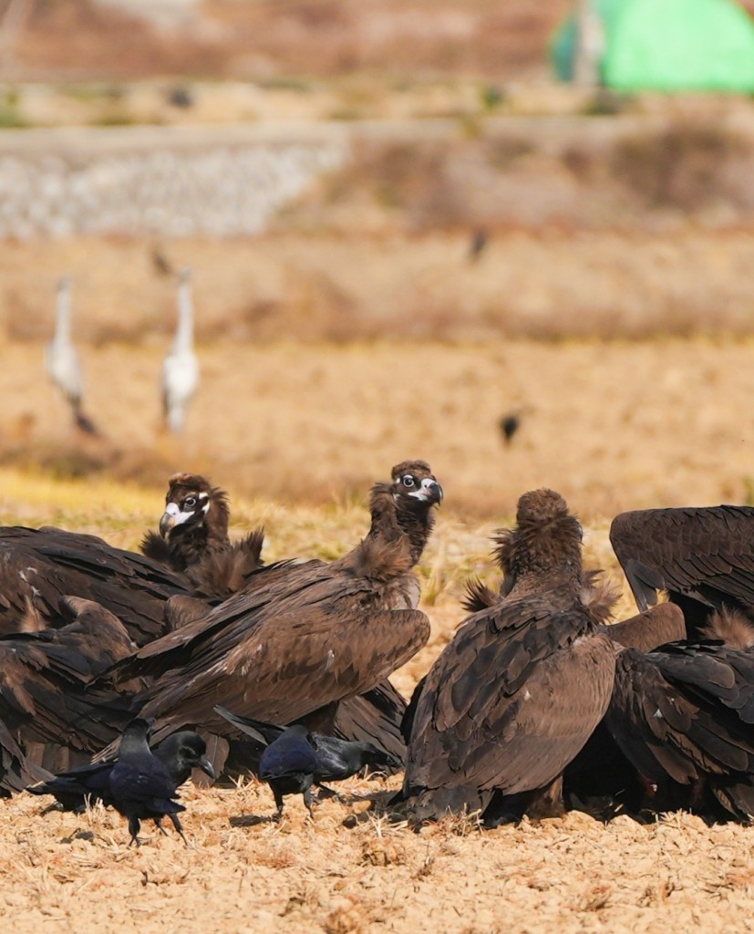 여행가는 달 여행지 추천