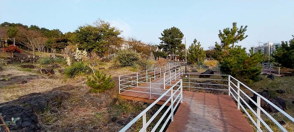 제주 서귀포 숲길