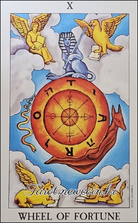 오늘의 타로 운세