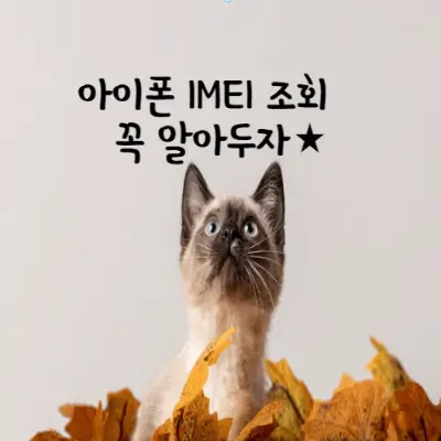 아이폰-IMEI-조회-꼭-알아두자-섬네일