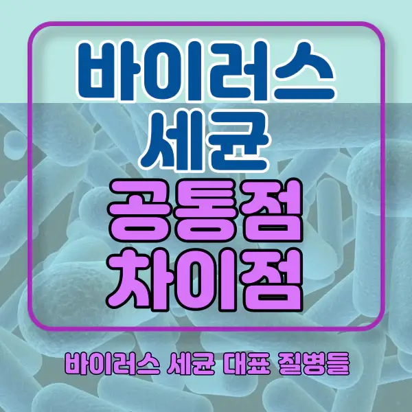 포스팅-썸네일