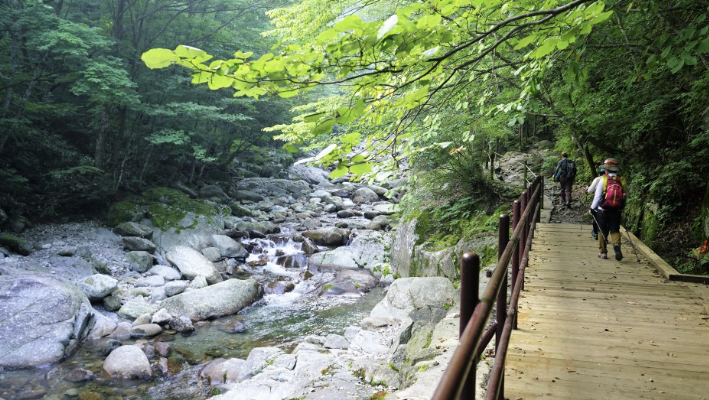 전남 지리산 피아골
