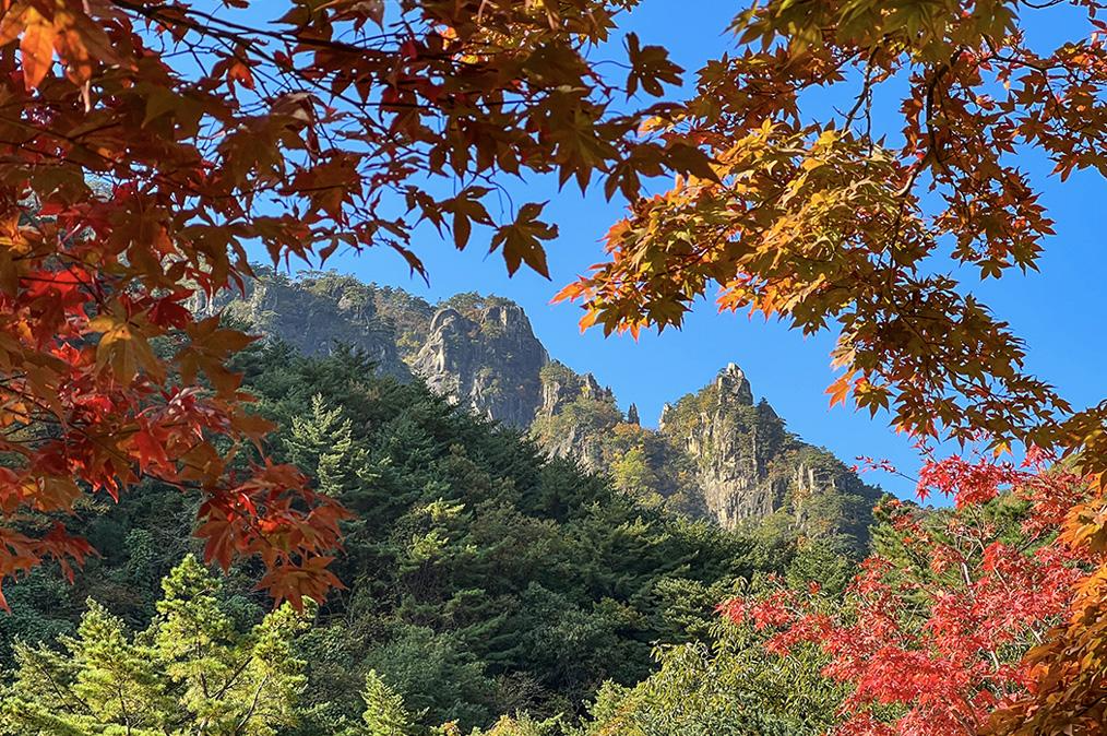 동해 가볼만한곳 베스트10 무릉계곡 관광지