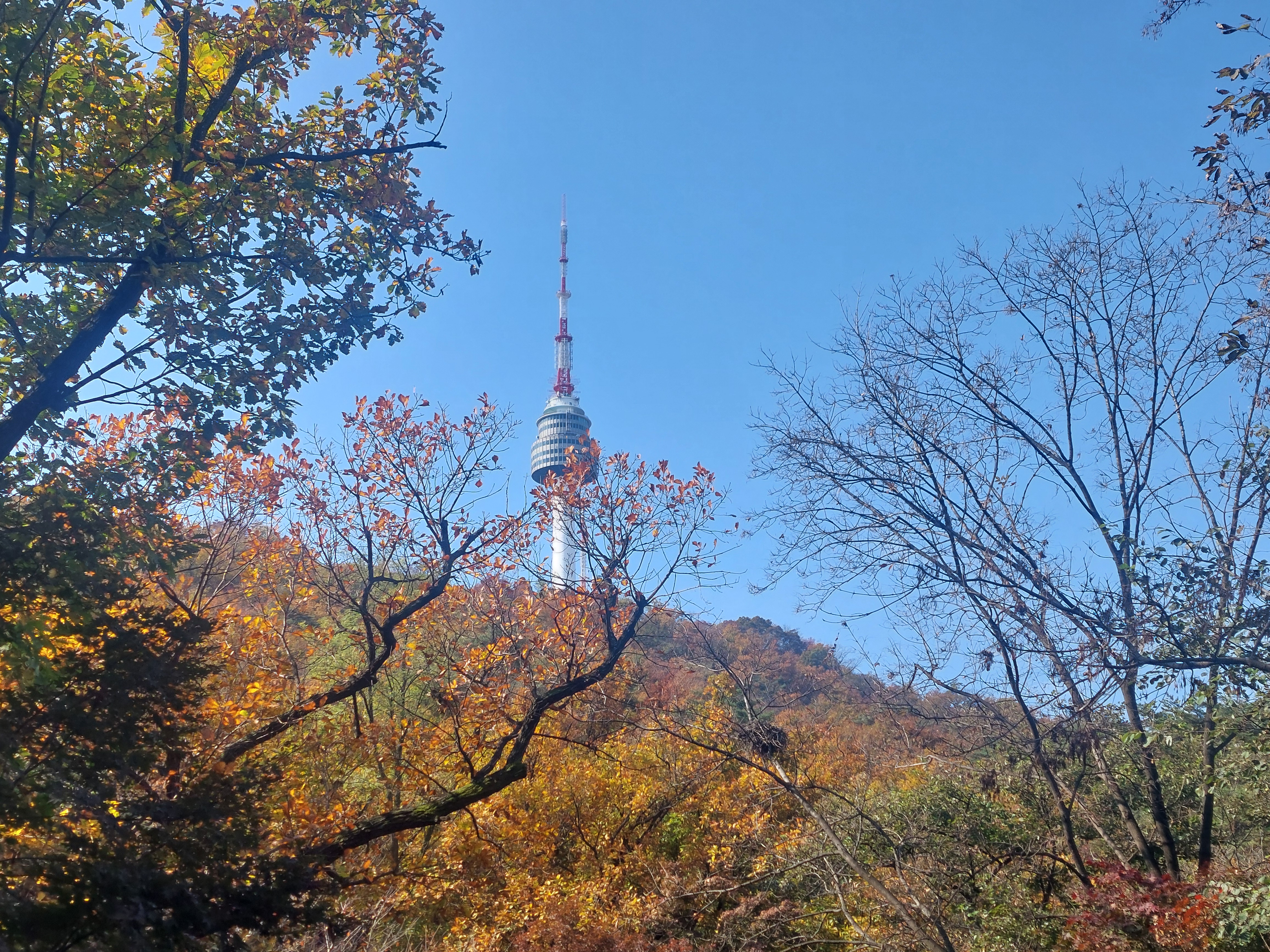 남산