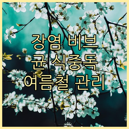장염 비브리오균 식중독 증상과 예방:..