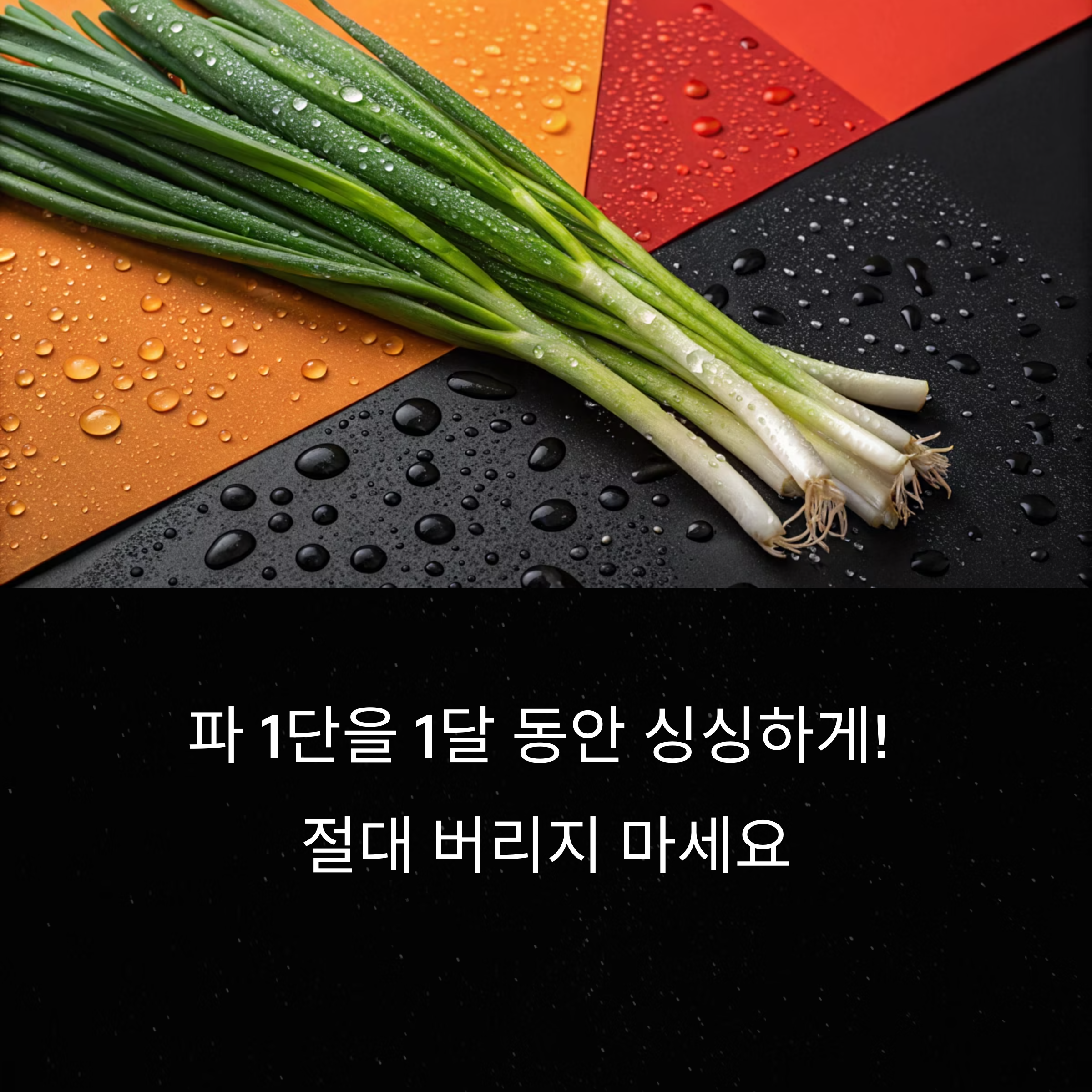 파 한 단 사도 절대 안 썩는 보관법, 이대로만 하세요!
