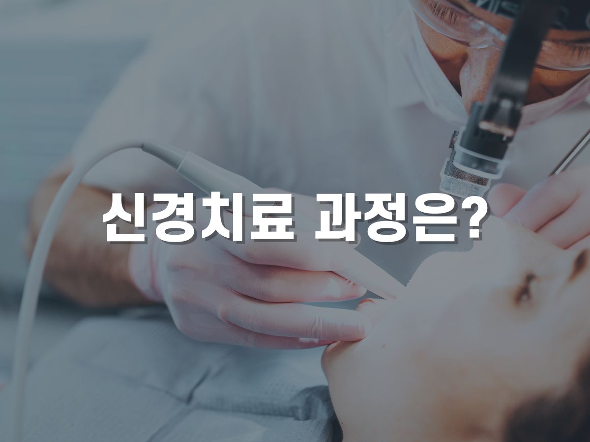 신경치료 과정