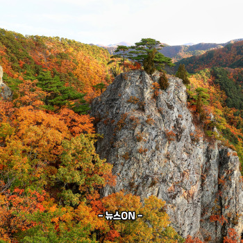 11월 가볼만한 산