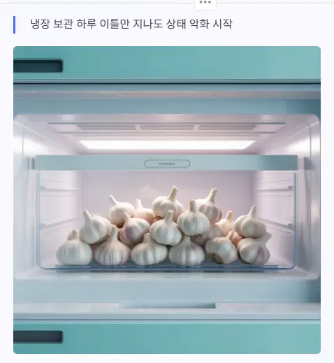 냉동 보관 악화