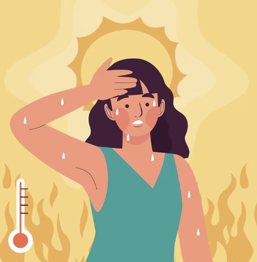 2025 서울 폭염 대비 필수 정보 총정리