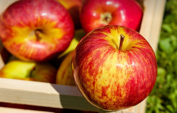 식이섬유가들어있는사과