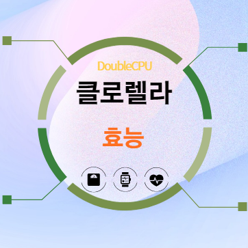 클로렐라 효능 탐구