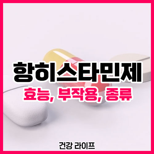 항히스타민제 (효능&#44; 부작용&#44; 종류)