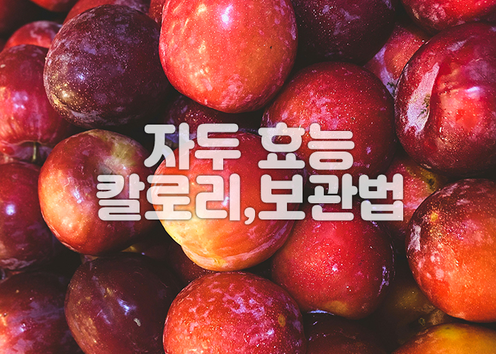 자두들이 많이 모여있는 이미지