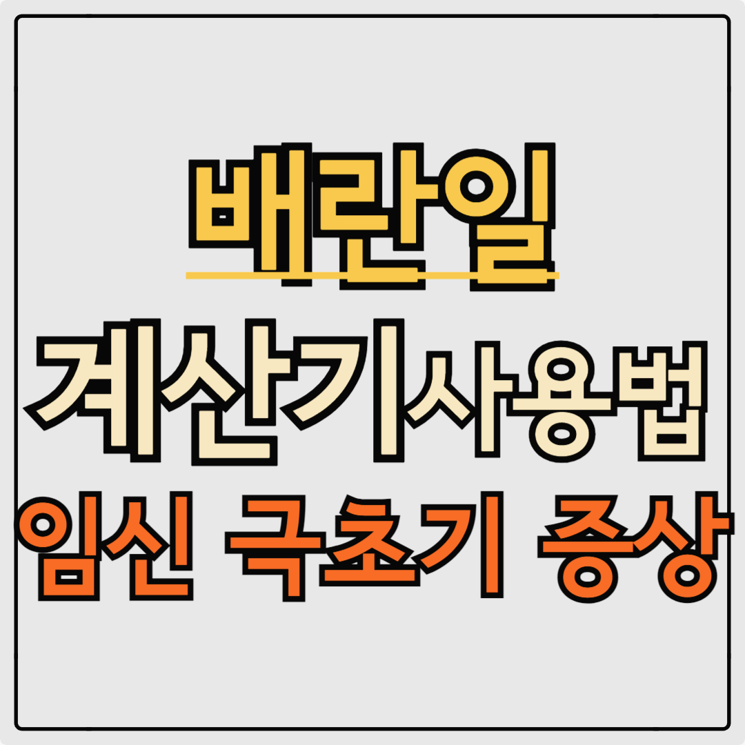 배란일 계산기 정확한 사용법