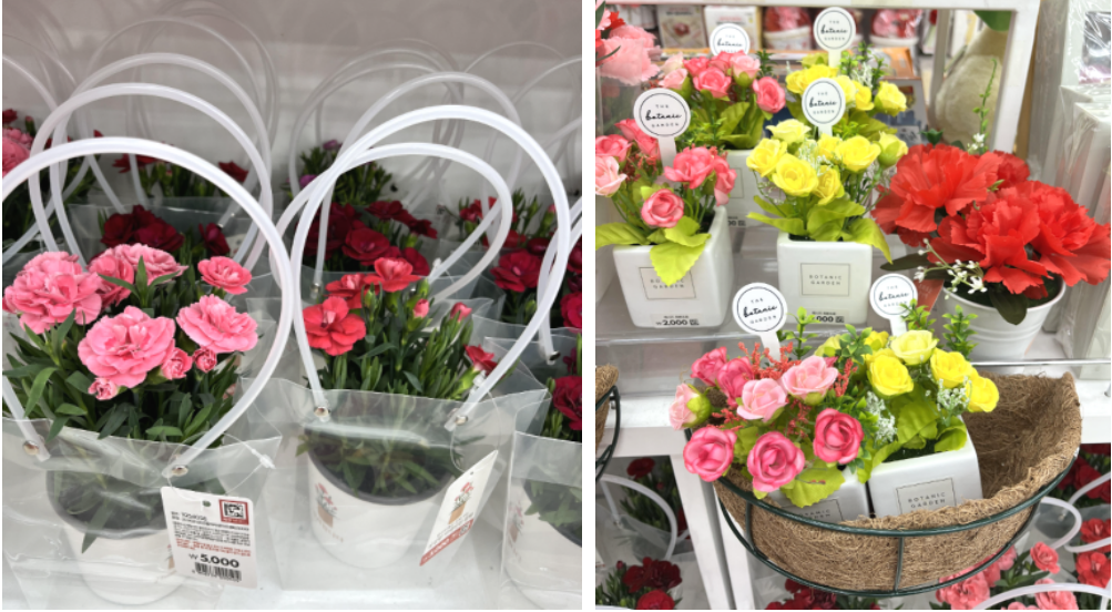 다이소-카네이션