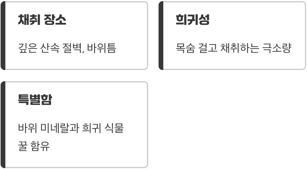 바위틈에 깃든 야생의 정수&amp;#44; 석청(石淸)