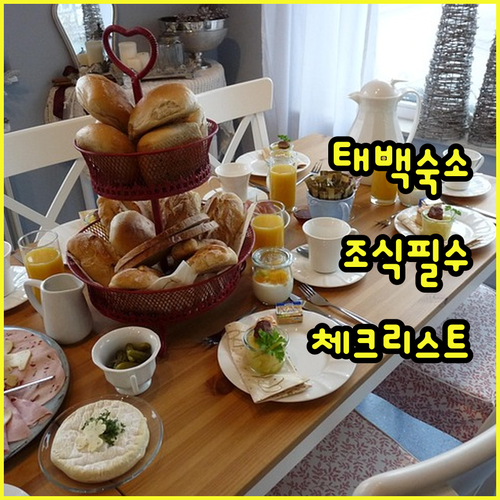 태백 여행 숙소 예약 전 필수 확인 ..