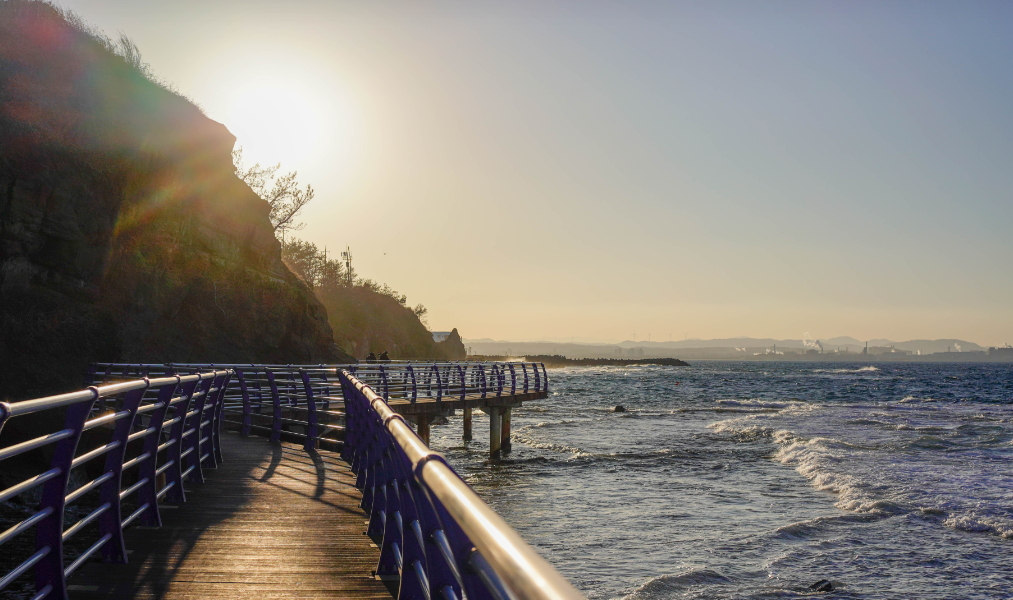 포항 호미반도 선바우길