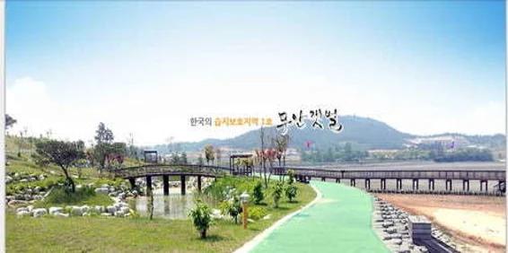 무안황토갯벌랜드