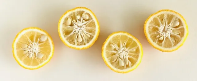 폴리페놀 성분 유자차