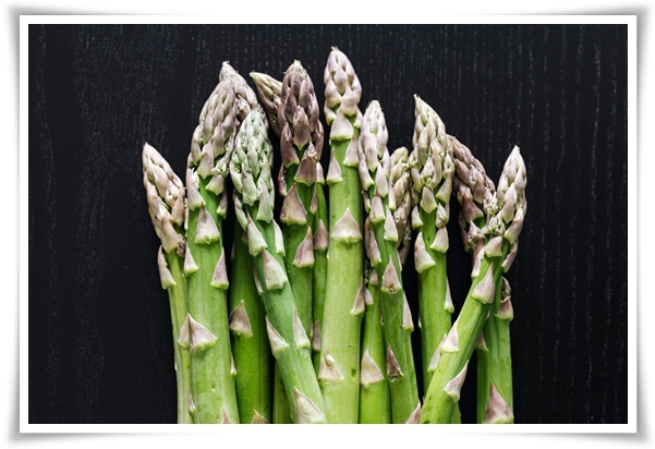 텃밭 &quot;아스파라거스 기르기&quot; 한 번 심으면 10년 동안 거두는 황금 채소!