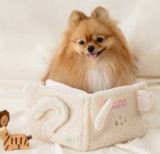 반려동물 건강 관리 팁