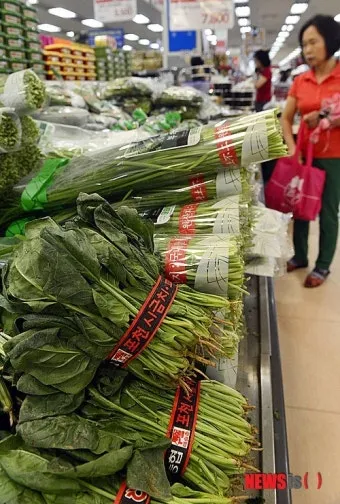 중부지방 들깨 파종시기 및 재배법 농사 팁 정리_19