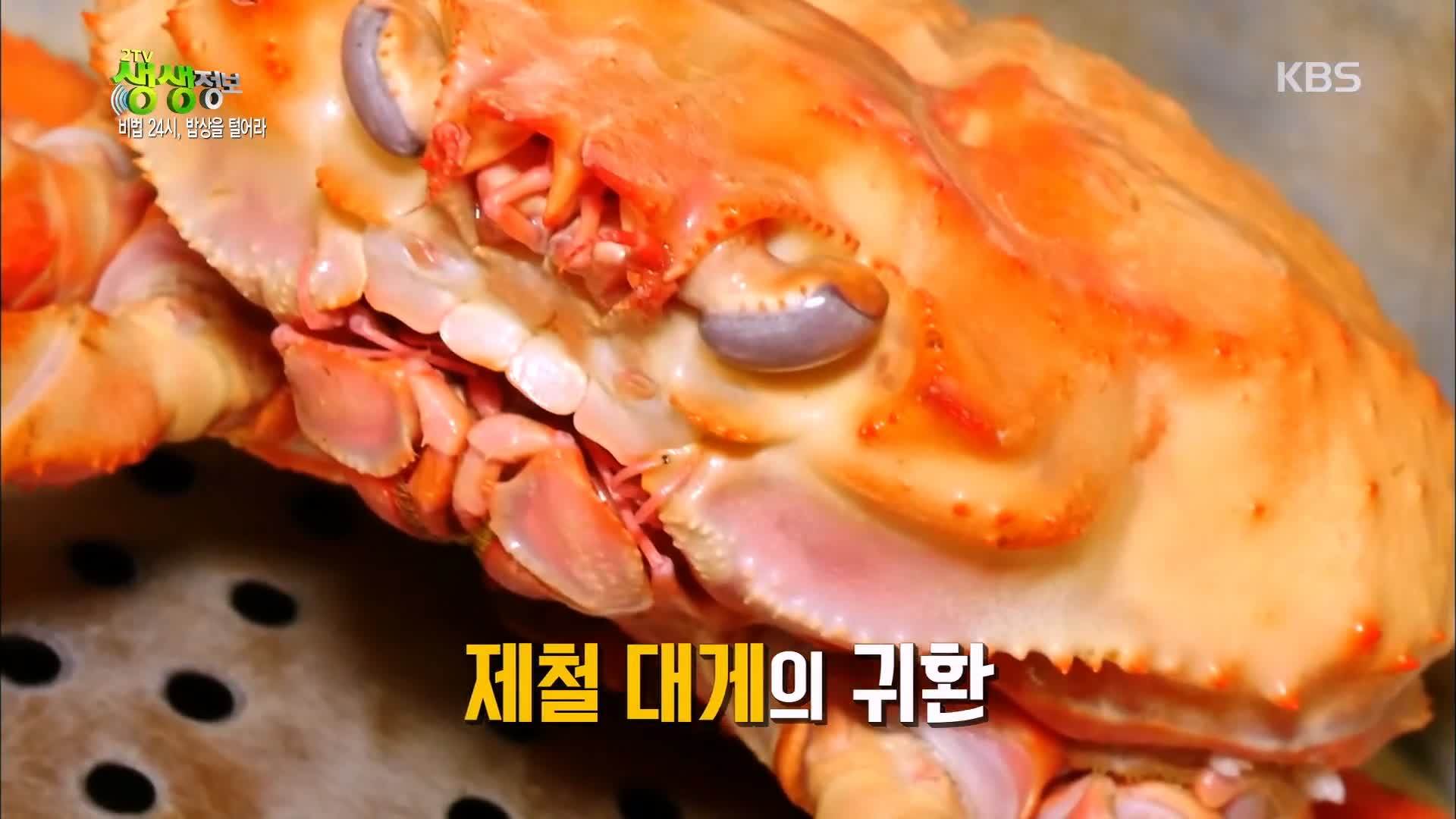 백반기행 붉은대게 요리 문희경 편 대게 게짜박이 두부게살찜 울진 맛집 소개