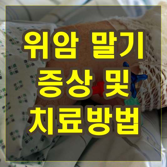 위암 말기 증상 및 치료방법