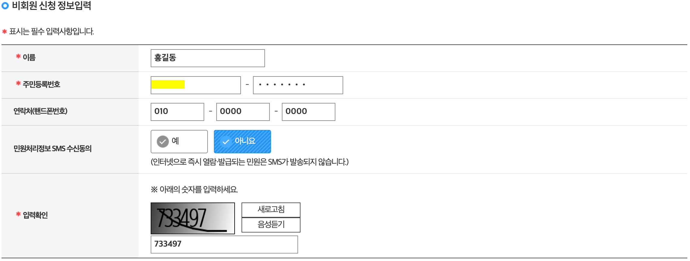 비회원 정보 입력 예시
