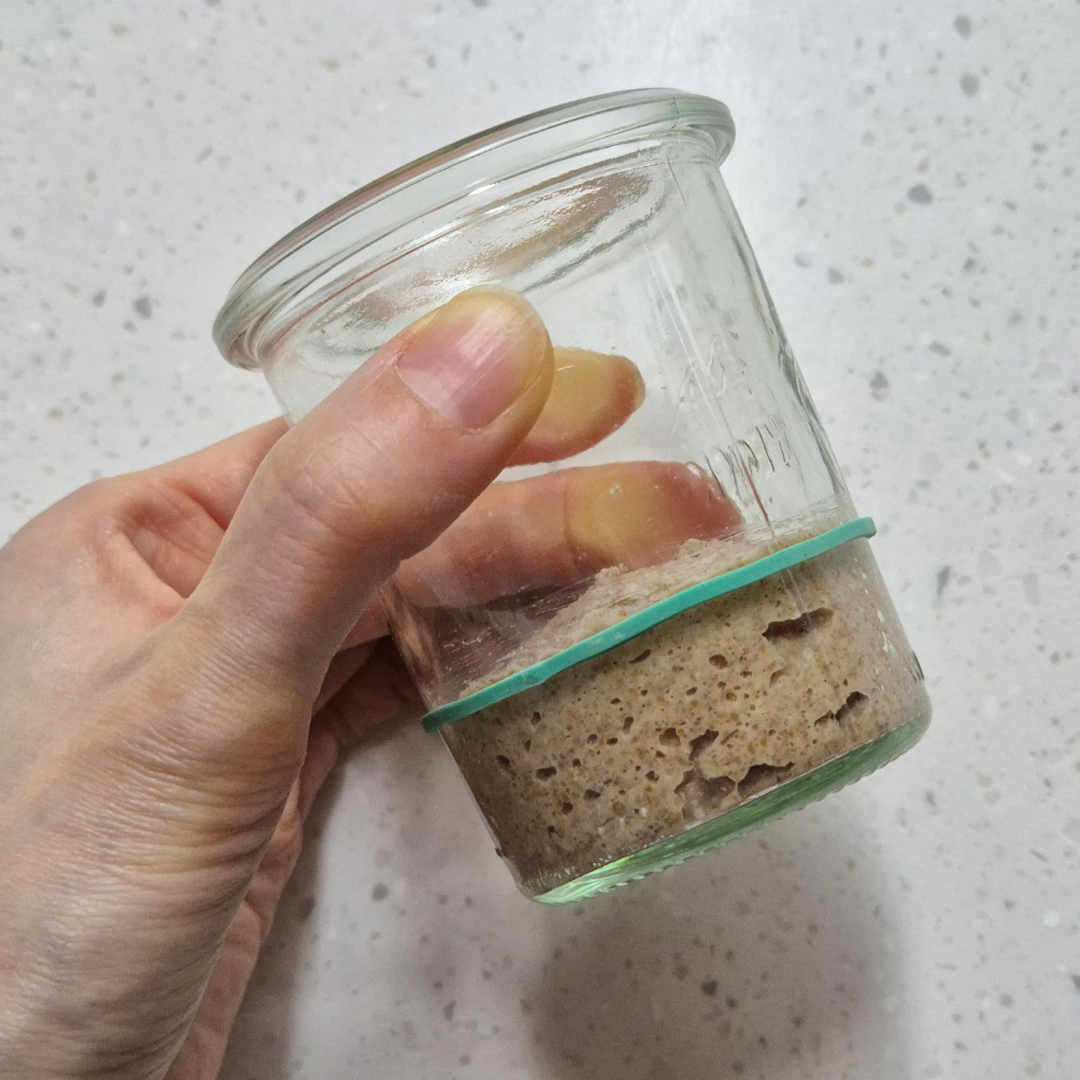 호밀 발효종 호밀 르방 키우기