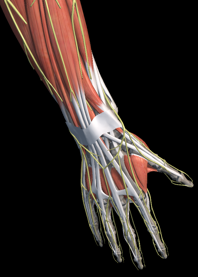 엄지 손가락 통증 원인