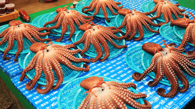 포항 가볼만한곳 베스트10