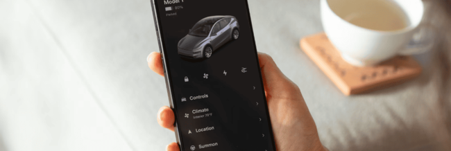 테슬라-신차-모델Y-주니퍼