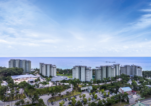 2025 강릉 경포 벚꽃축제