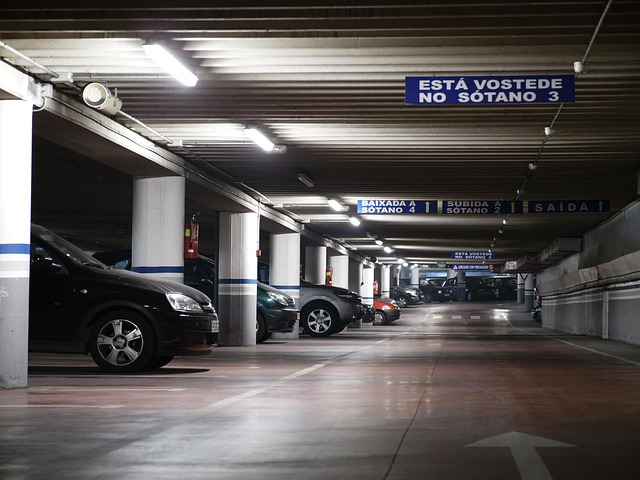 알펜시아 리조트 주차 정보 완전 정복