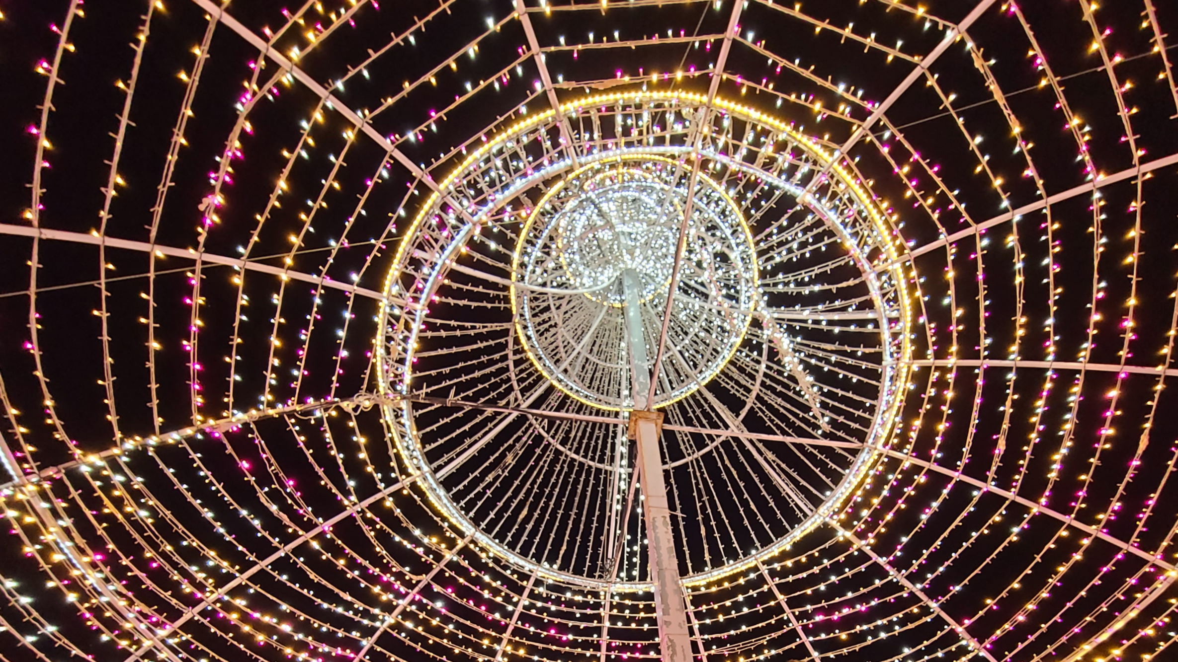 태안빛축제할인방법 태안별빛축제 태안불빛축제 태안애견동반 태안꽃축제 튤립축제 꽃박람회 태안할인