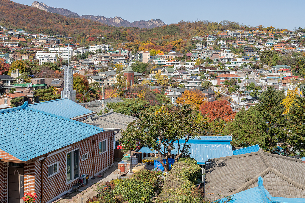 혜화문
성북동
한양도성길
백악구간
서울여행
서울단풍
가을단풍
단풍