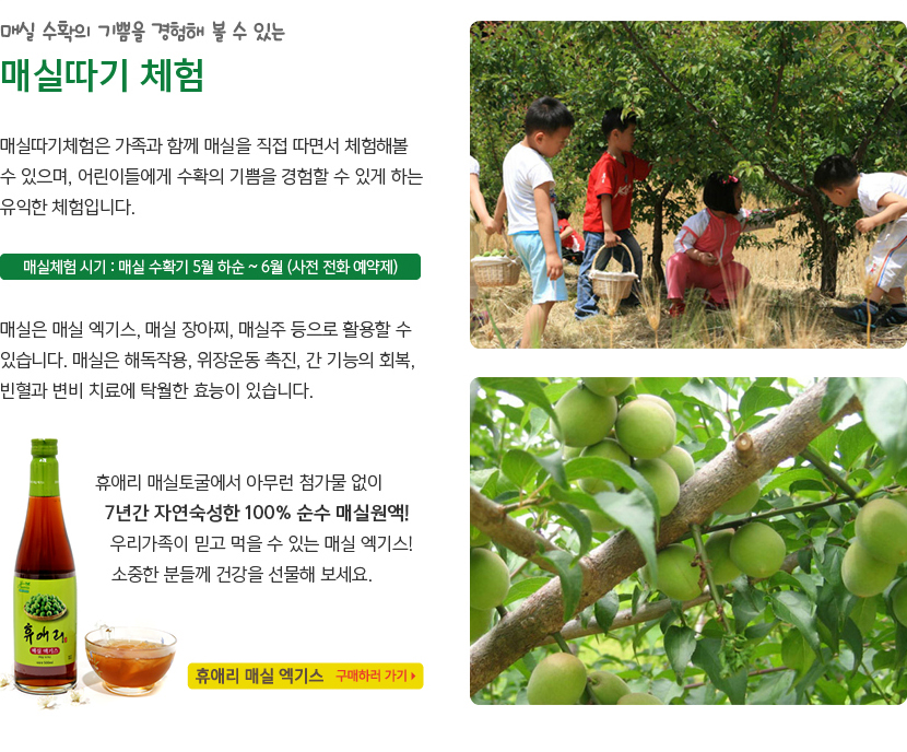 휴애리 여름 수국축제