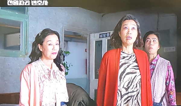  천원짜리 변호사