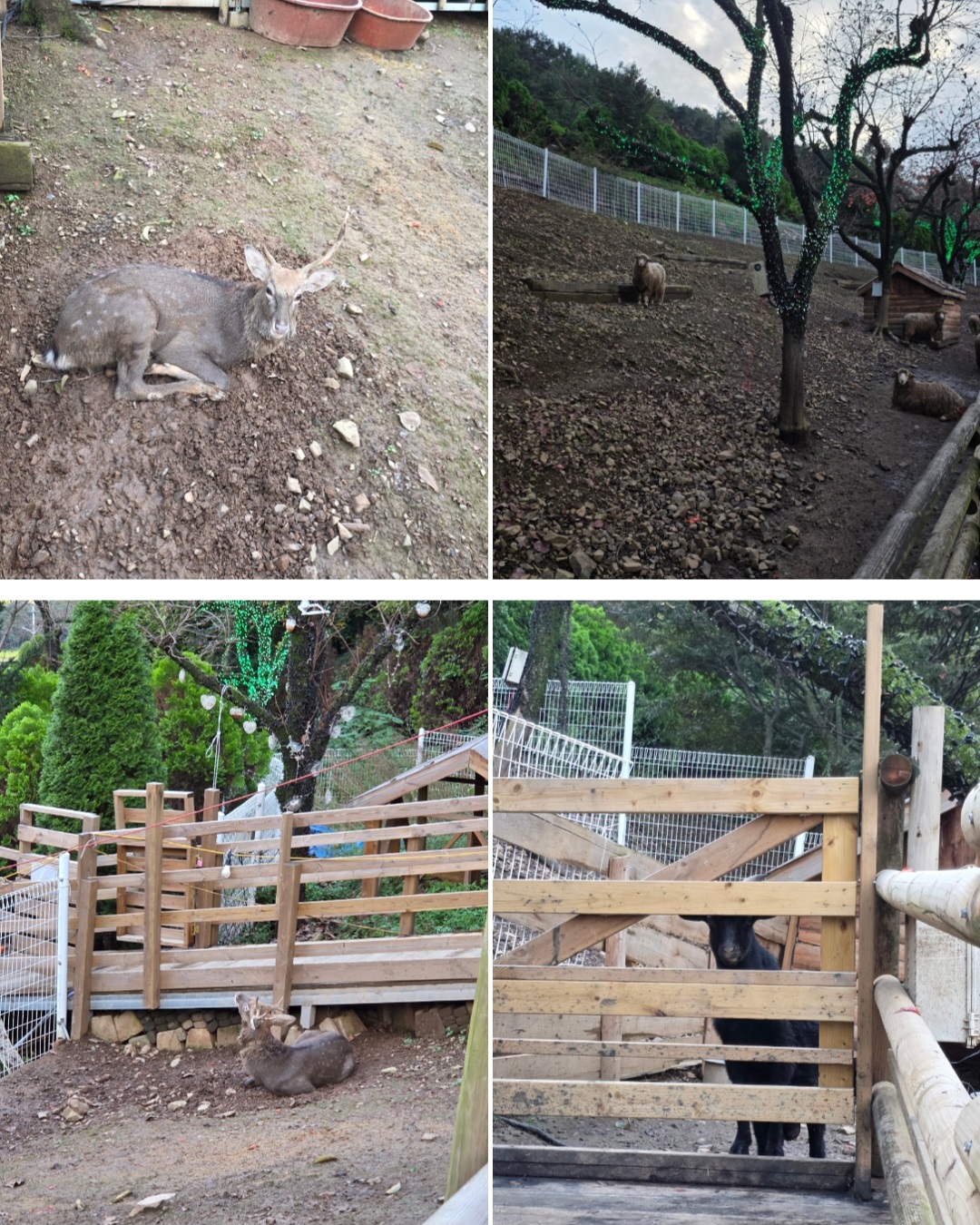 &amp;#39;청도 프로방스&amp;#39; 방문 후기