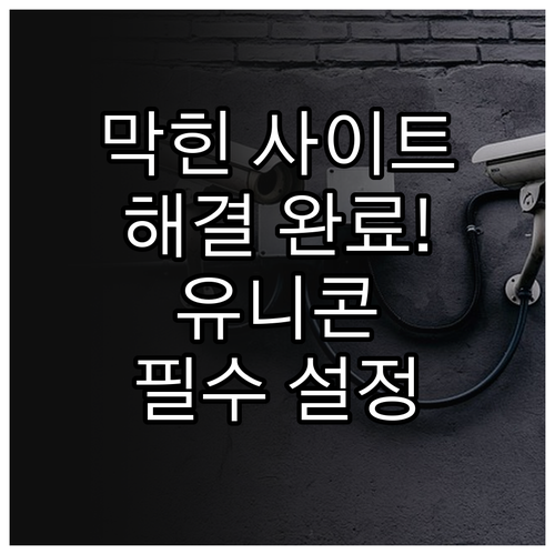 안전한 인터넷 접속 유니콘 HTTPS..