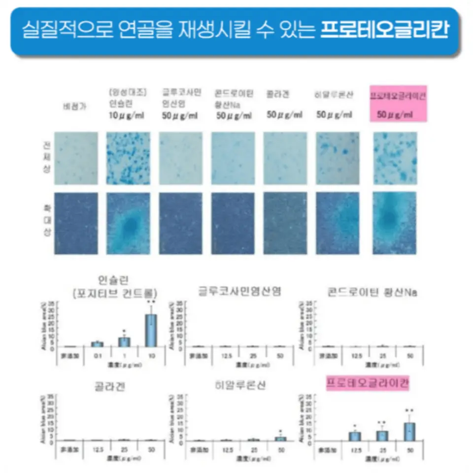 프로테오글리칸 효능 가격 추천
