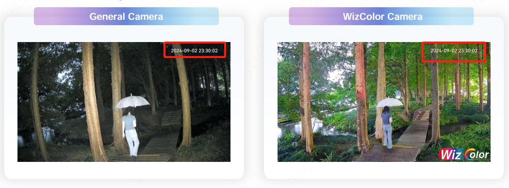 다후아 WizColor