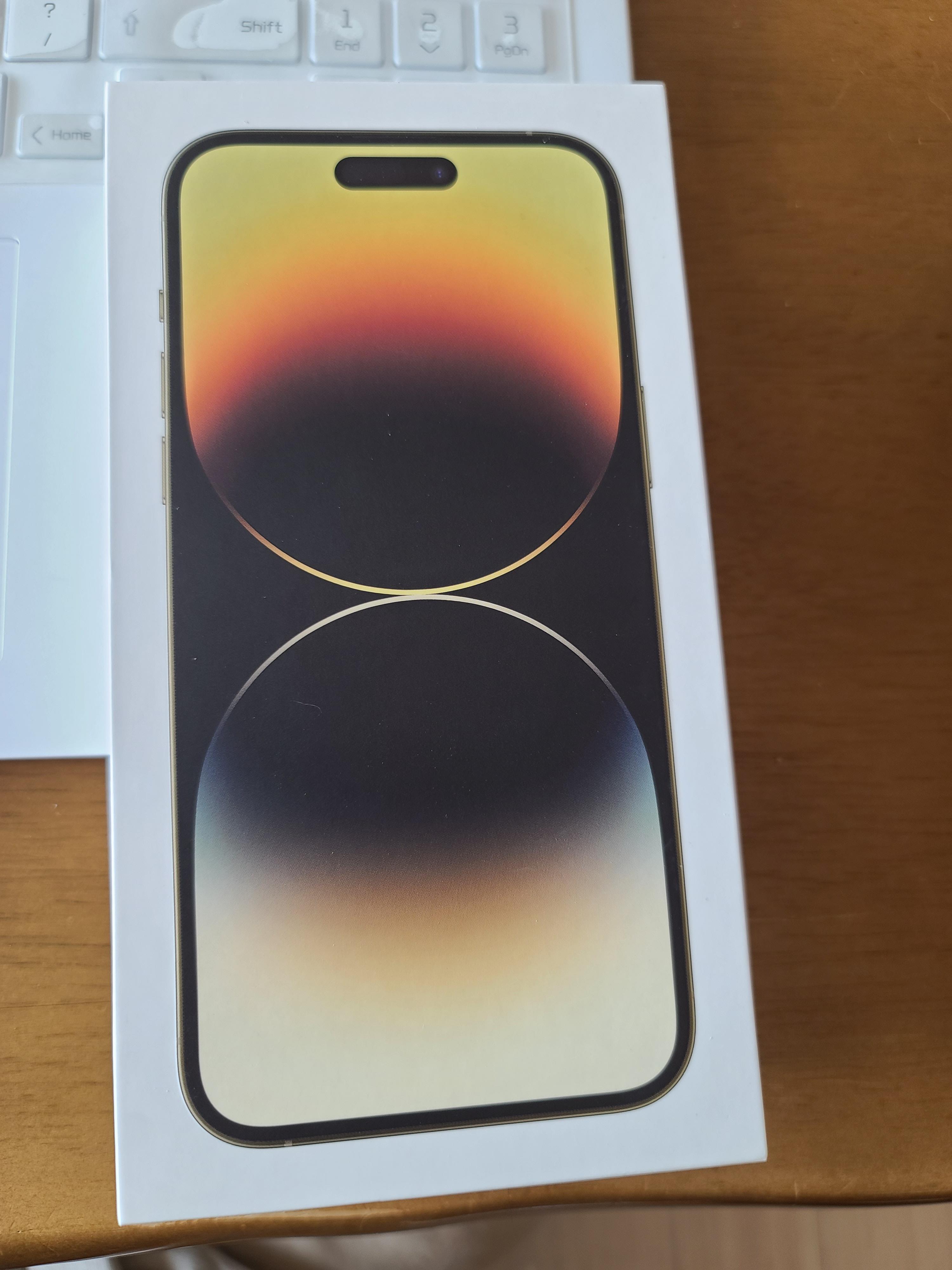 아이폰 14프로맥스로 찍은 호야! (feat.주댕이 출연 막둥이)